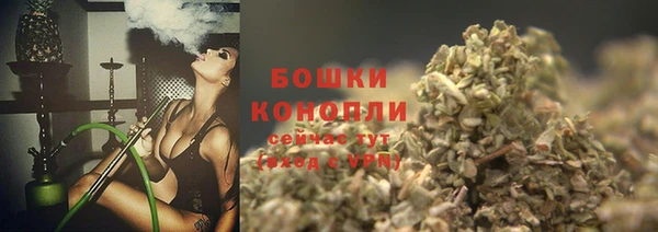 прущий лед Инта