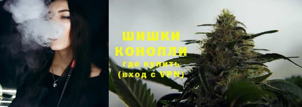 дживик Каменногорск