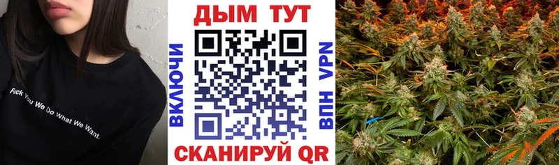 Конопля план  Янаул 